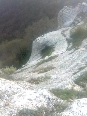 Прикрепленное изображение: Фото0339.jpg